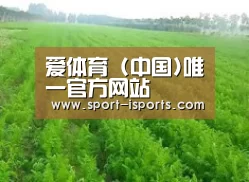 种植基地四
