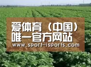 种植基地五
