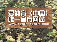 种植基地八(图1)