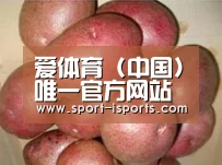产品展示标题1