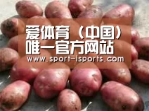 产品展示标题5